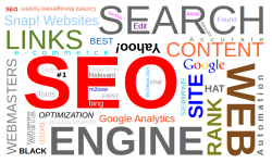SEO: A Daily Workout