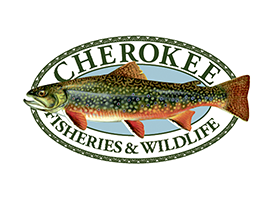 Cherokee Fisheries and Wildlife – Corporate ID