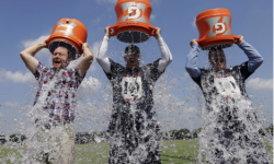 Berger’s Six ‘STEPPS’ for Creating Viral Marketing Content